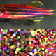 Skinbow is a new color-coding technique that can be used to visualize tissue regeneration. Image Credit: Chen-Hui Chen / Duke